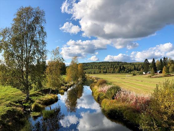 Alkusyksyn jokimaisema